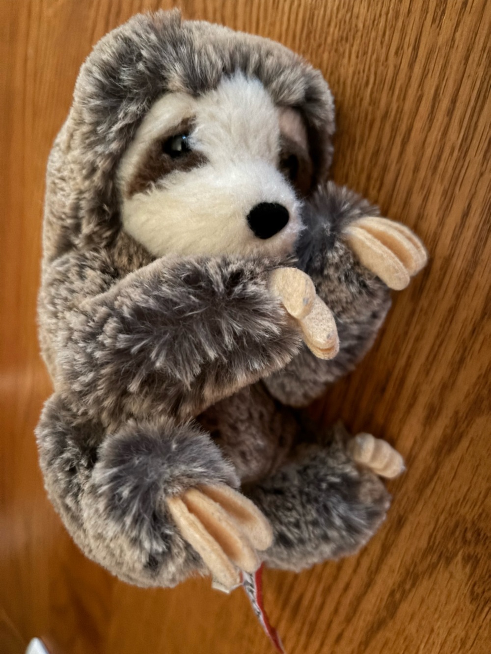 Plush Douglas Sloth Stuffed Animal - Gray and Cream